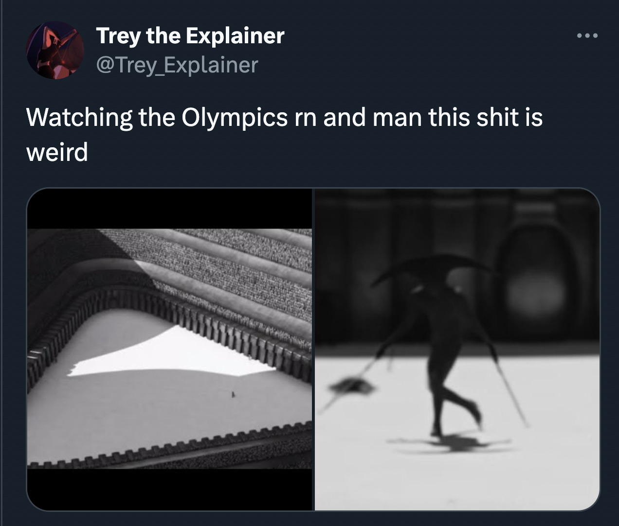 harkonnen arena - Trey the Explainer Watching the Olympics rn and man this shit is weird